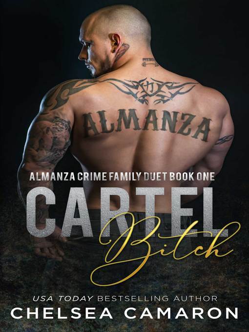 Title details for Cartel Bitch by Chelsea Camaron - Available